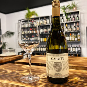 Garzon Reserva Albarino 2021 Uruguay vendita vini online