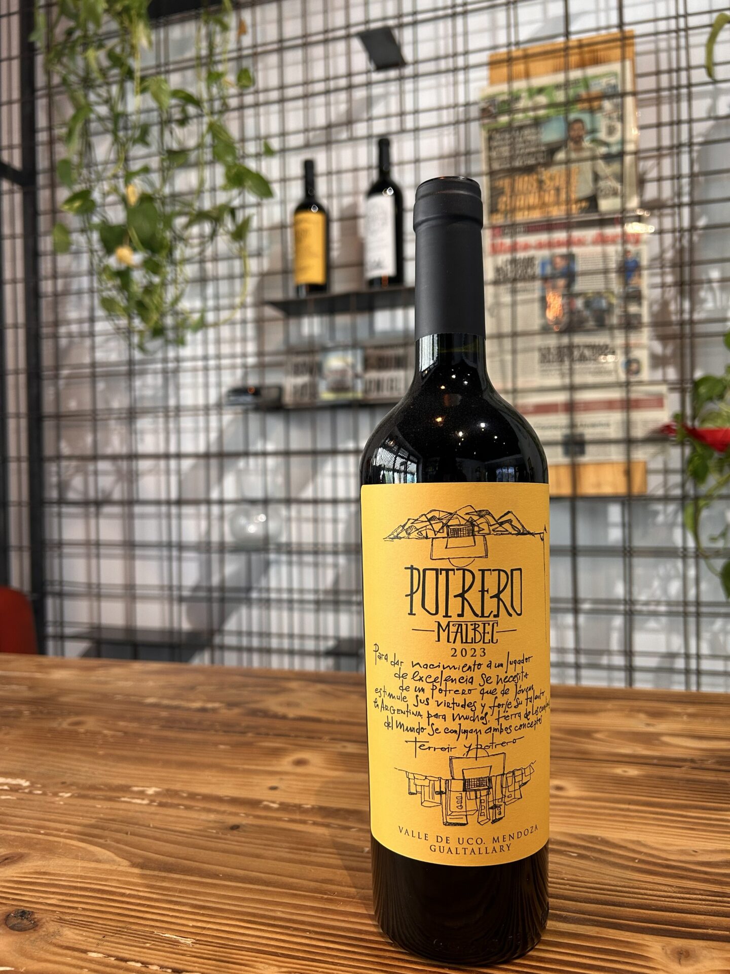 De Potrero Malbec 2023