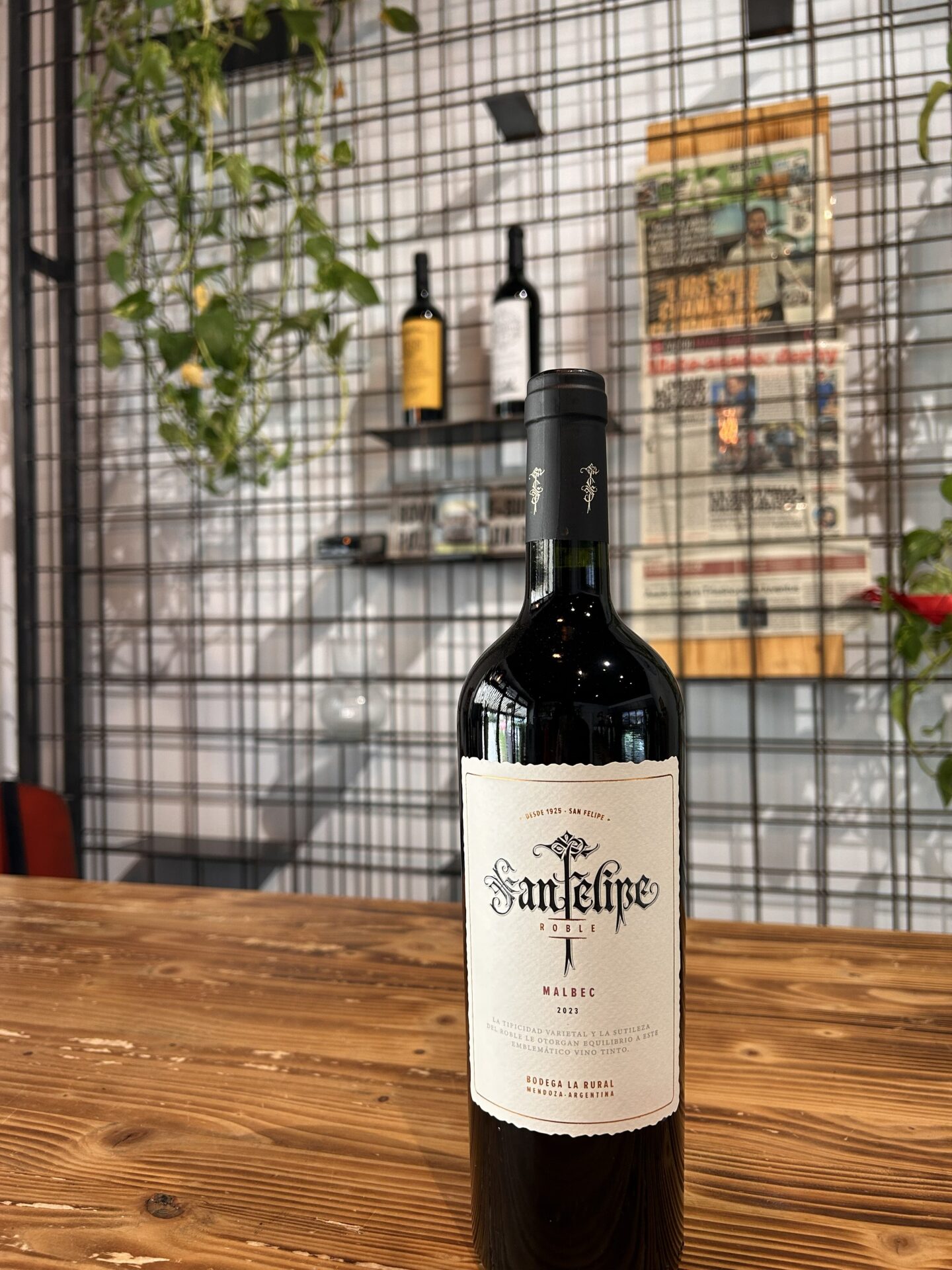 San Felipe Malbec 2024