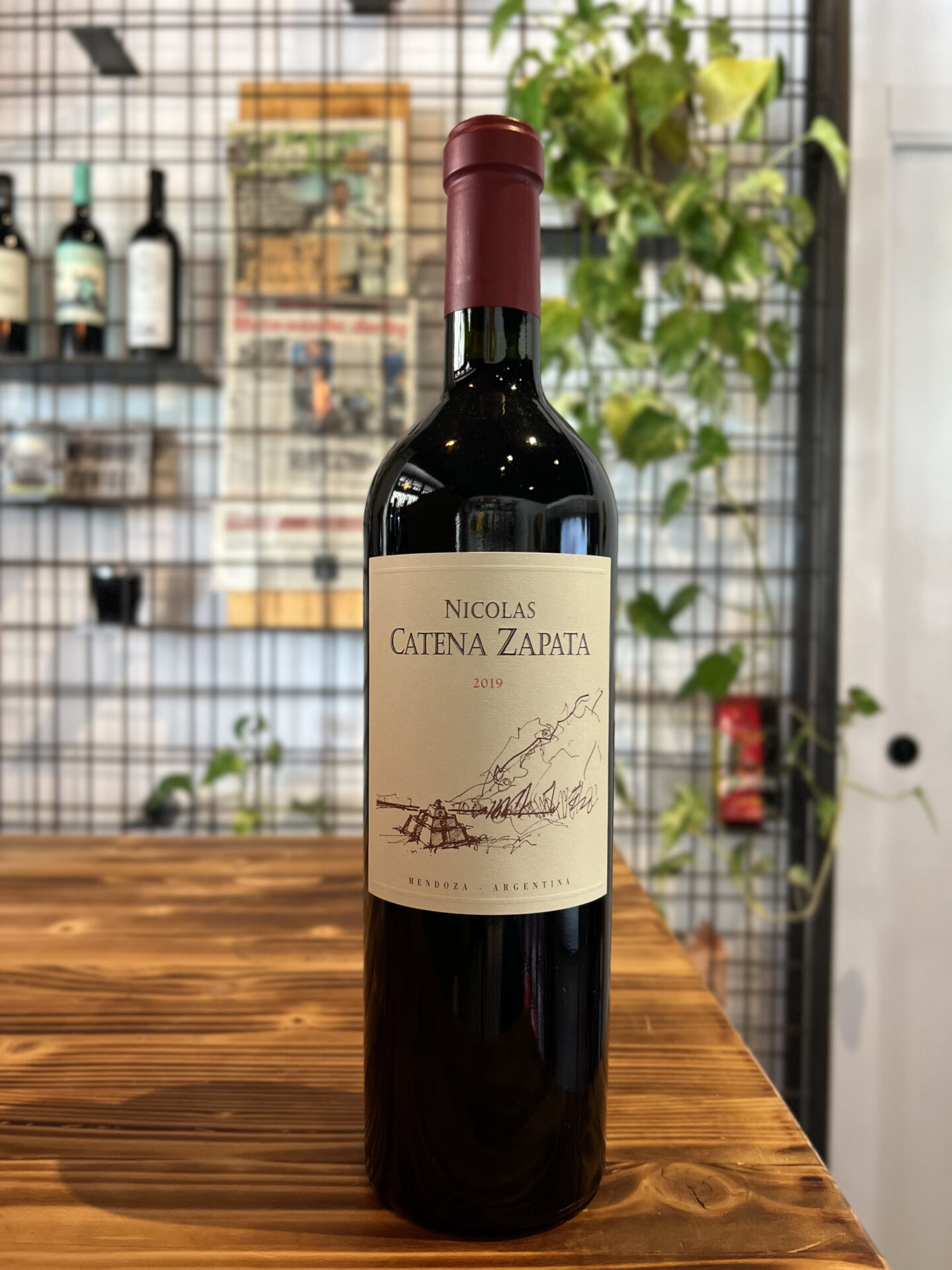 NICOLAS CATENA ZAPATA