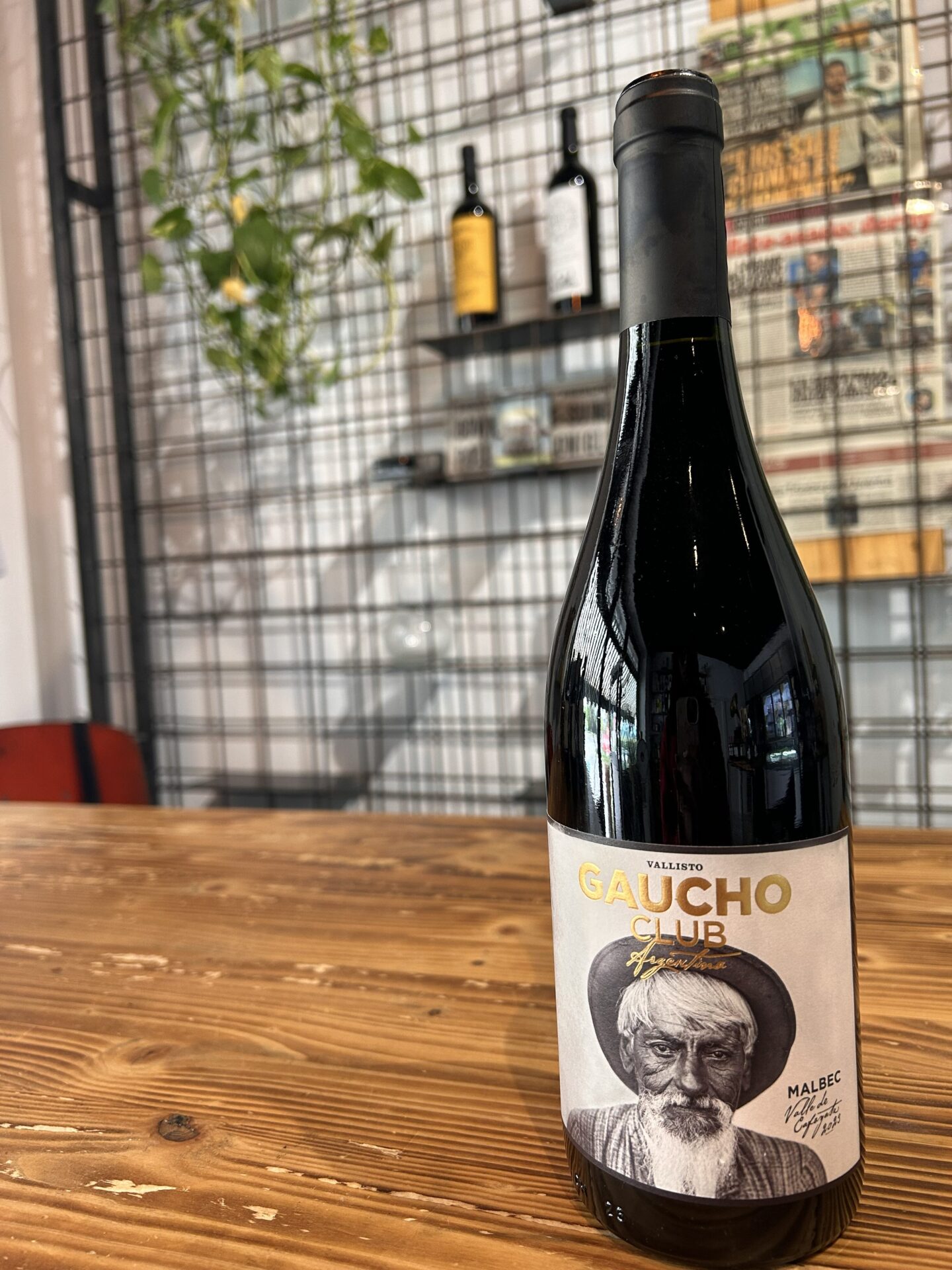 VALLISTO GAUCHO- malbec 2023
