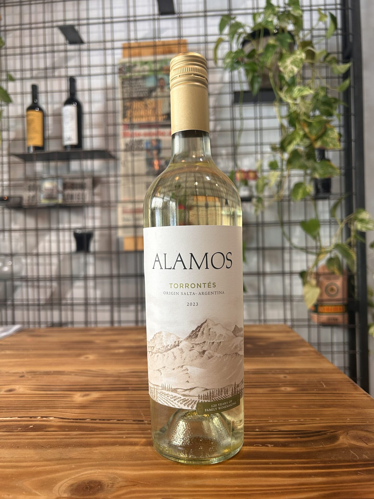 Alamos Torrentes 2023